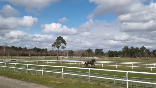 Hippisme : nos préférés pour ce dimanche 5 mars